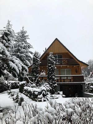 Image chosen by user