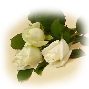 Image chosen by user