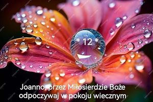 Image chosen by user