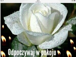 Obrazek wybrany przez użytkownika