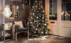 Image chosen by user