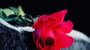 Image chosen by user