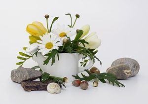 Image chosen by user