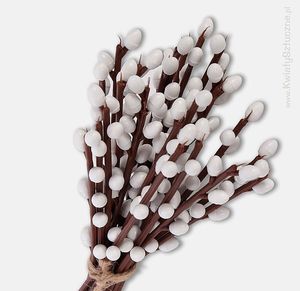 Image chosen by user
