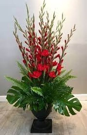 Image chosen by user