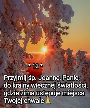 Obrazek wybrany przez użytkownika
