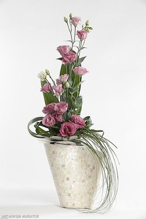 Image chosen by user