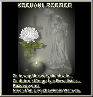 Image chosen by user