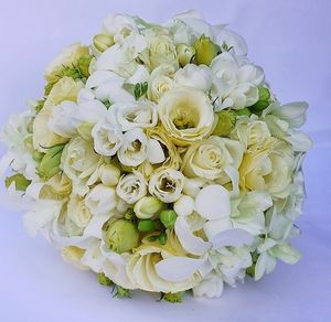 Image chosen by user
