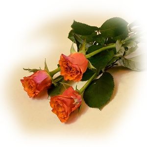 Image chosen by user