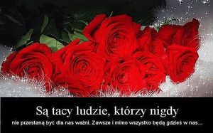 Image chosen by user