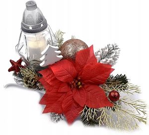 Image chosen by user