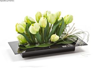 Image chosen by user