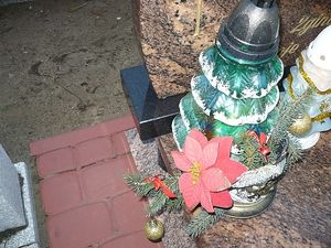 Image chosen by user