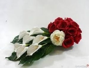 Image chosen by user