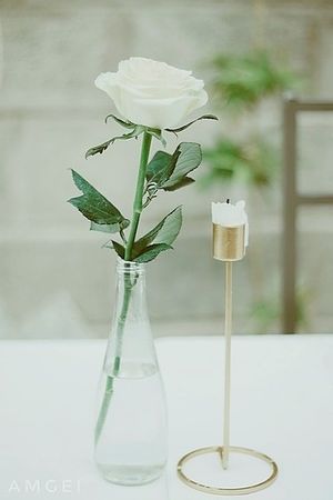 Image chosen by user