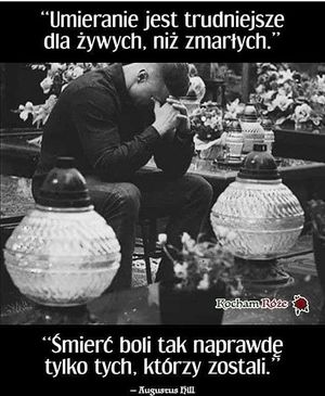 Obrazek wybrany przez użytkownika
