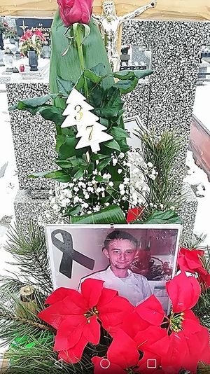 Obrazek wybrany przez użytkownika