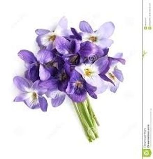 Image chosen by user