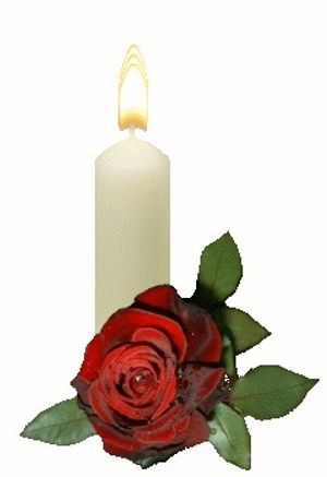 Image chosen by user