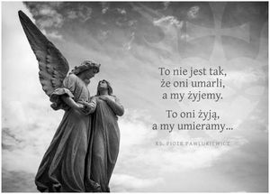 Obrazek wybrany przez użytkownika