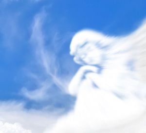 Image chosen by user