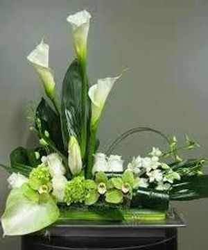 Image chosen by user
