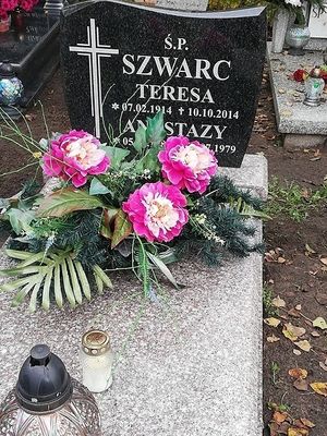 Obrazek wybrany przez użytkownika
