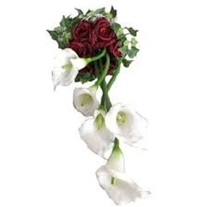 Image chosen by user