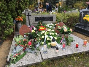 Obrazek wybrany przez użytkownika