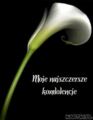 Obrazek wybrany przez użytkownika