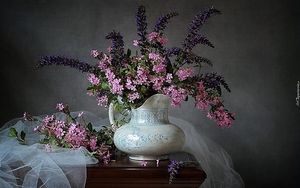 Image chosen by user