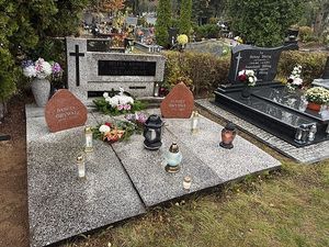Image chosen by user