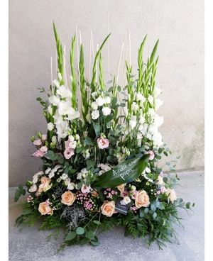 Image chosen by user