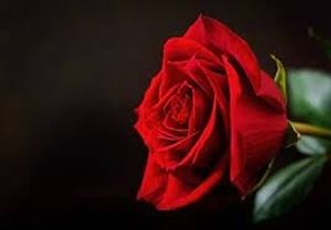 Image chosen by user