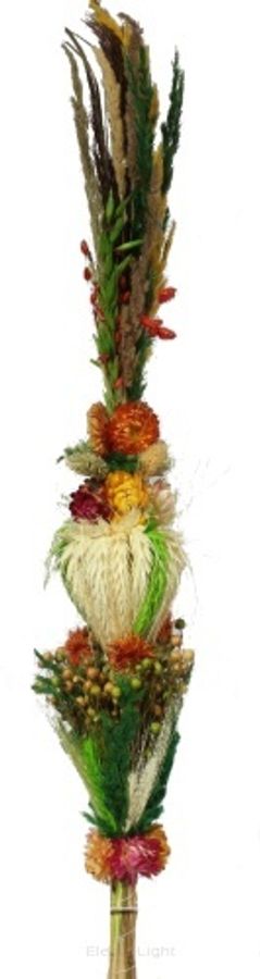 Image chosen by user