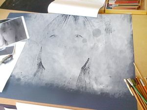 Image chosen by user