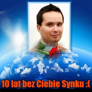 Image chosen by user