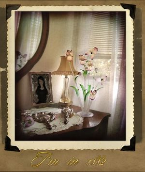 Image chosen by user