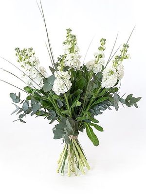 Image chosen by user