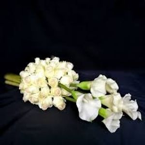 Image chosen by user