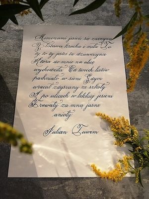 Obrazek wybrany przez użytkownika
