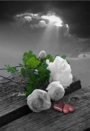 Obrazek wybrany przez użytkownika