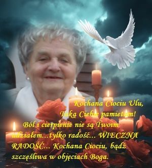 Obrazek wybrany przez użytkownika