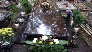 Obrazek wybrany przez użytkownika