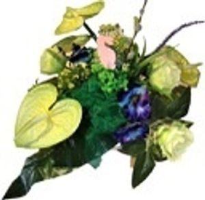 Image chosen by user