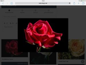 Image chosen by user