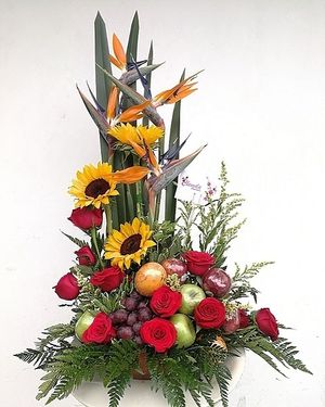 Image chosen by user