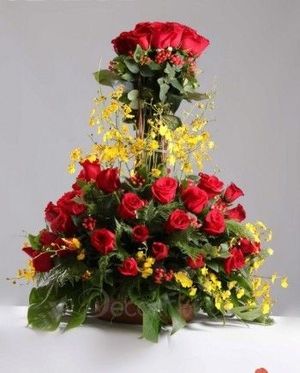 Image chosen by user