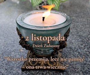 Obrazek wybrany przez użytkownika